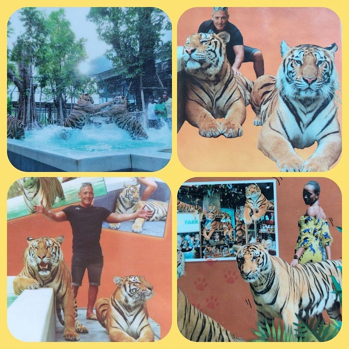 Tiger Park